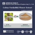 Herbal Extract Forskolin/CASNo.:66575-29-9